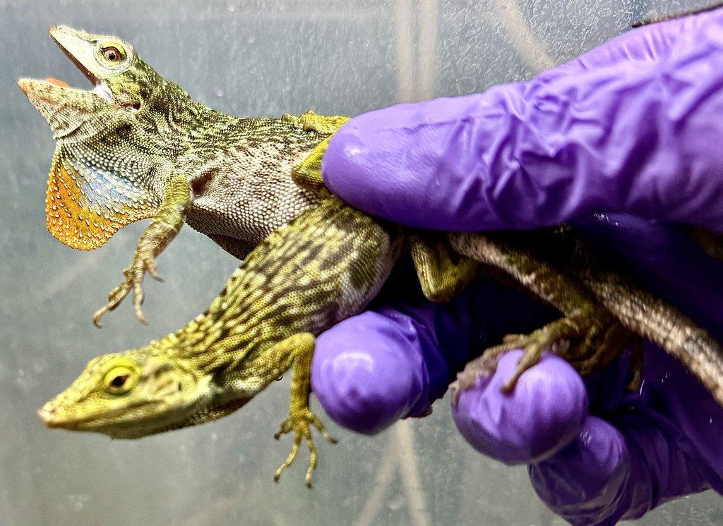 Fresh import odběr po dohodě.