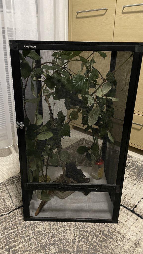 Flexárium se strašilkami