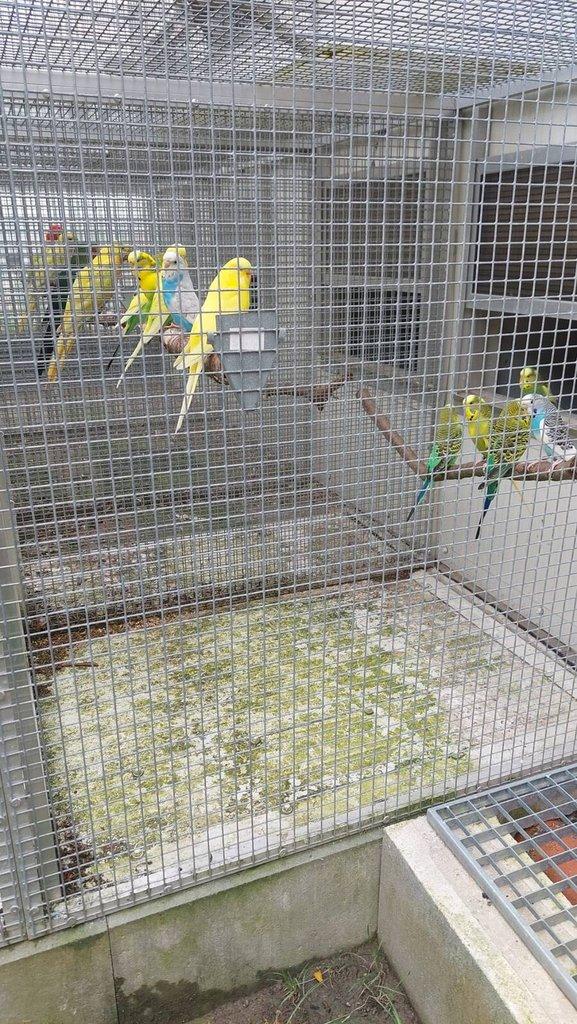 Andulka a Andulka Duhová