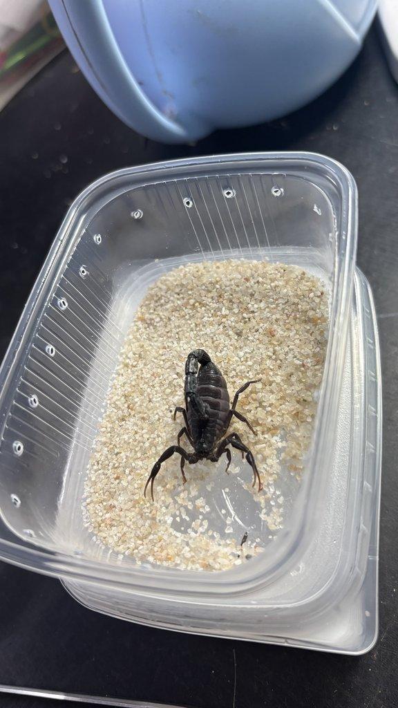 Tera České Budějovice 21.12