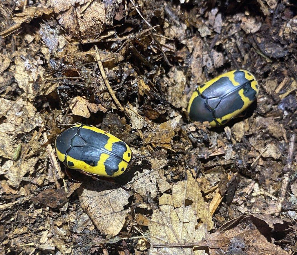 Nabídka březen 2026