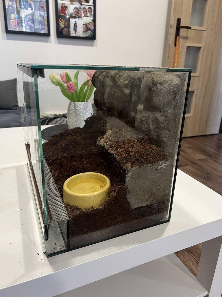 Terarium