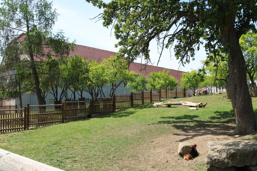 Pronájem celé samostatné stáje s výběhy