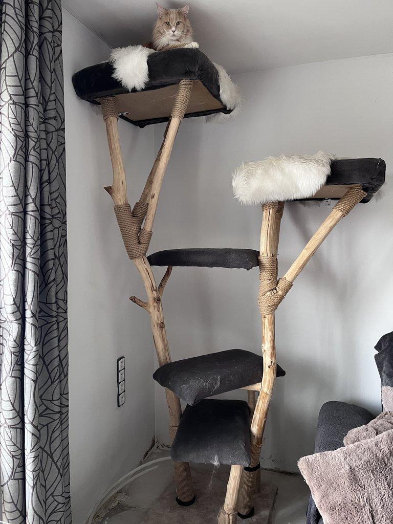 Masivní kočičí škrabadlo z přírodního kmene – 230 cm